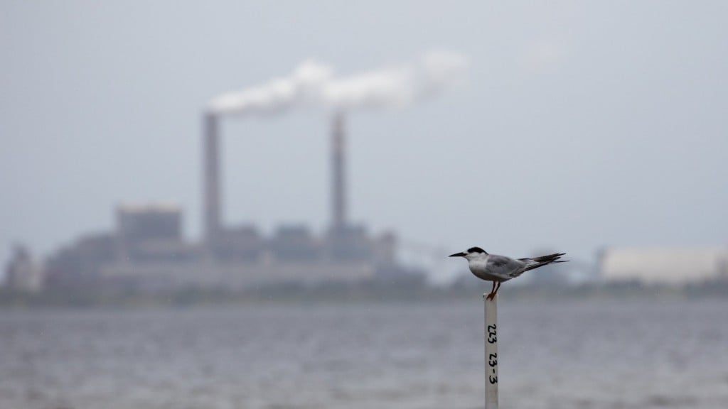 Climate change threatens bird species with extinction, study says