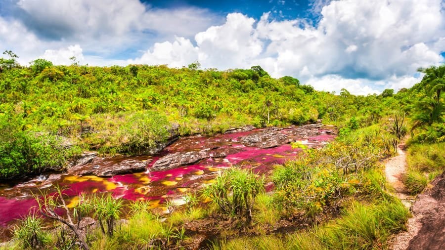 Caño Cristales: Colombia’s spectacular ‘liquid rainbow’
