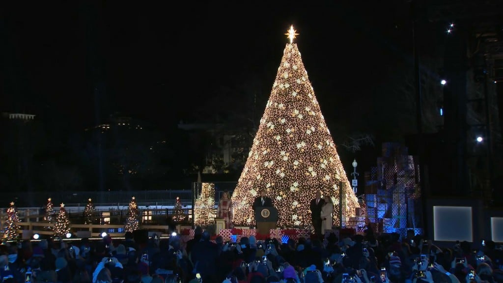 President, first lady light national Christmas tree