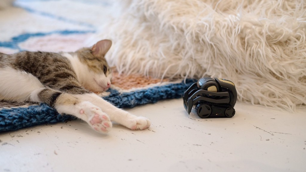 The important reason these tiny robots are taking pics of cats