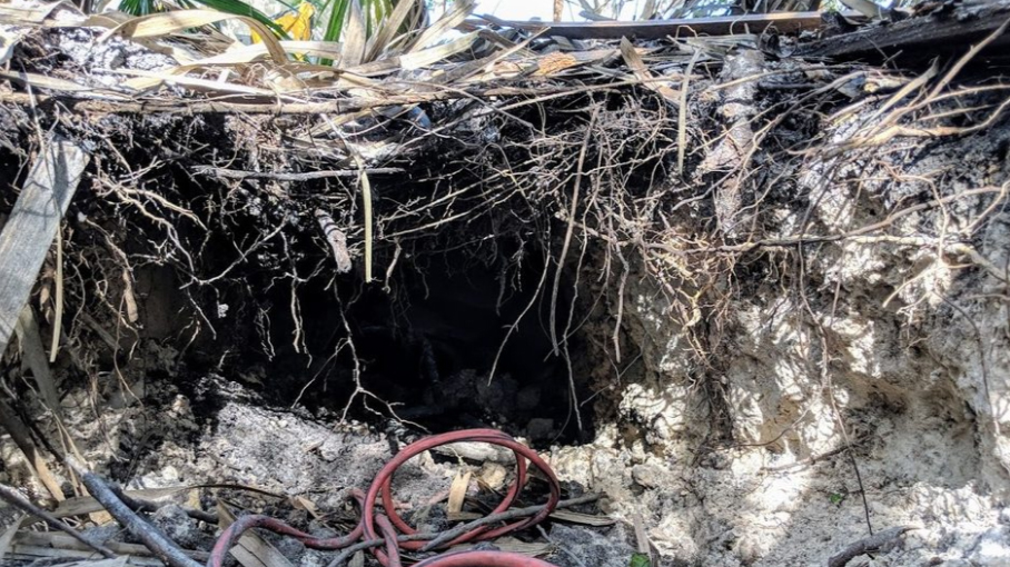 Sinkhole turns out be an underground tunnel to a Florida bank