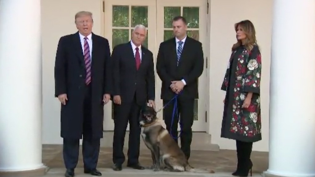 Trump honors hero dog at White House