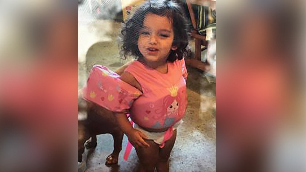 Toddler who disappeared in Michigan woods found safe