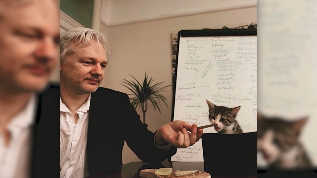 Julian Assange’s cat appears to be safe