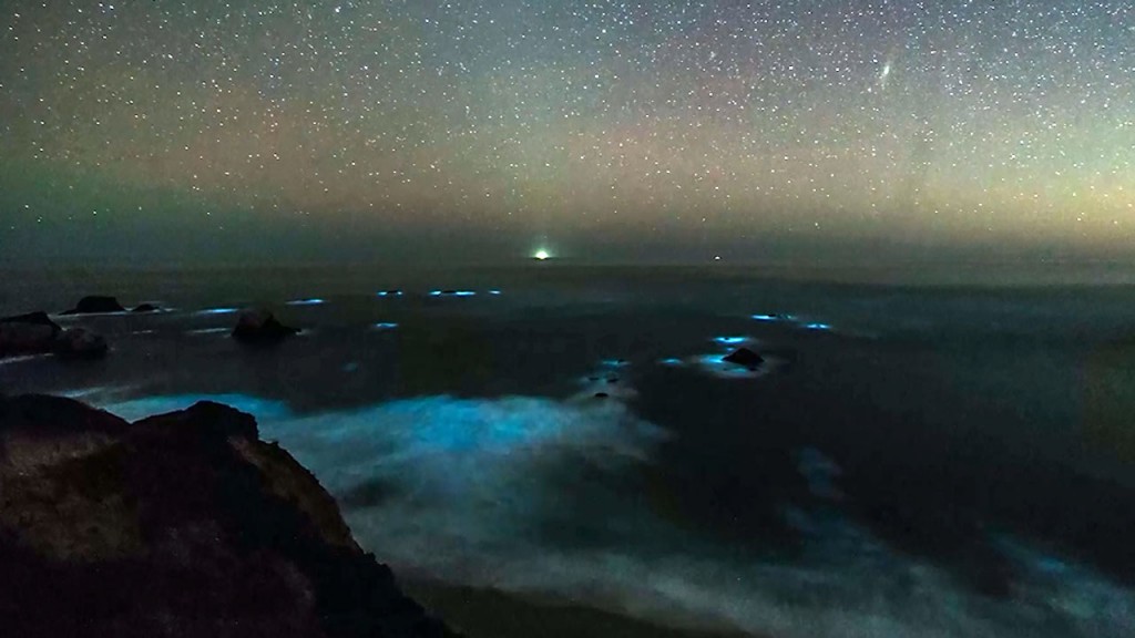Bioluminescent waves light up Big Sur
