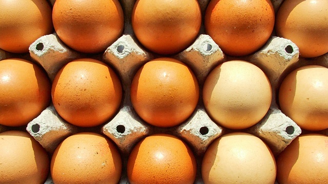Scrambled or over easy? It’s National Egg Day