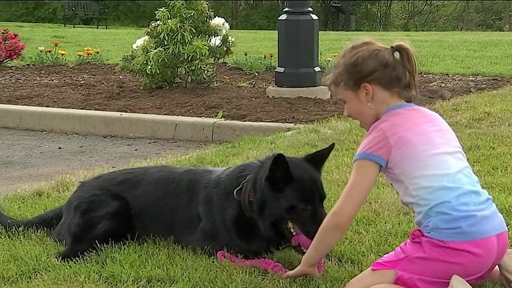 Girl creates toy for police dogs
