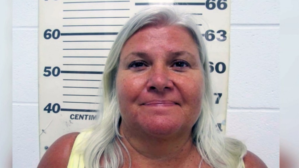 Florida to seek death penalty against Lois Riess