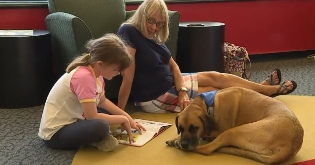 Pennsylvania children read to therapy dogs in Sit, Stay, and Read program