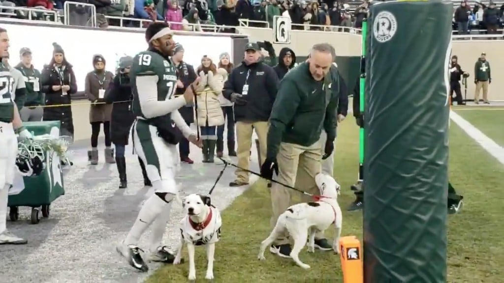 Michigan State player’s dogs accompany him on Senior Day after parents’ deaths