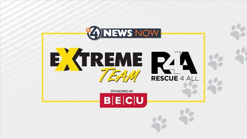 Extreme Team reveal day is here!