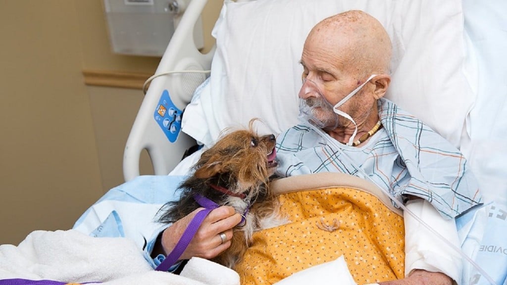 Dying veteran reunites with beloved dog for final time