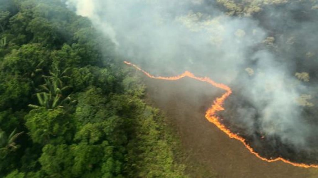 The Amazon is still burning