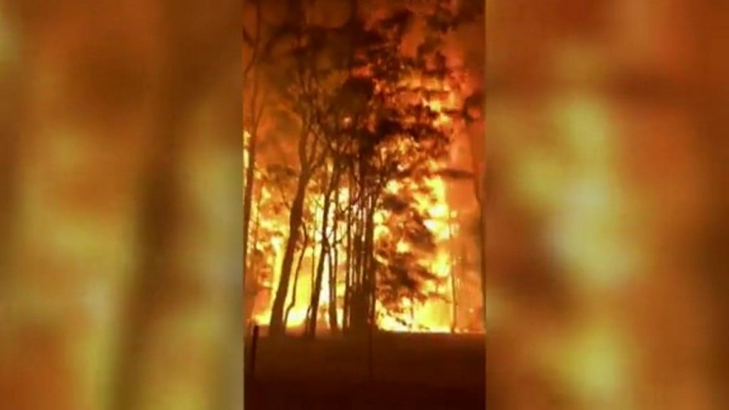 Bushfire rips through treetops near Sydney
