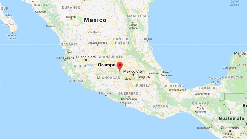 Mexican town’s police force detained after assassination