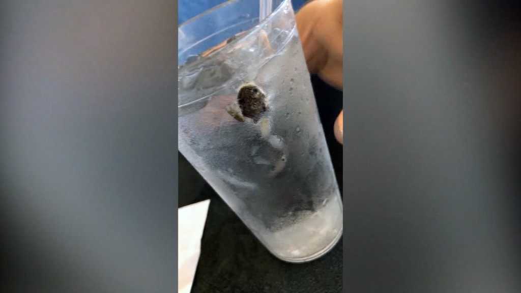Couple claim they found frog in ice water at Waffle House