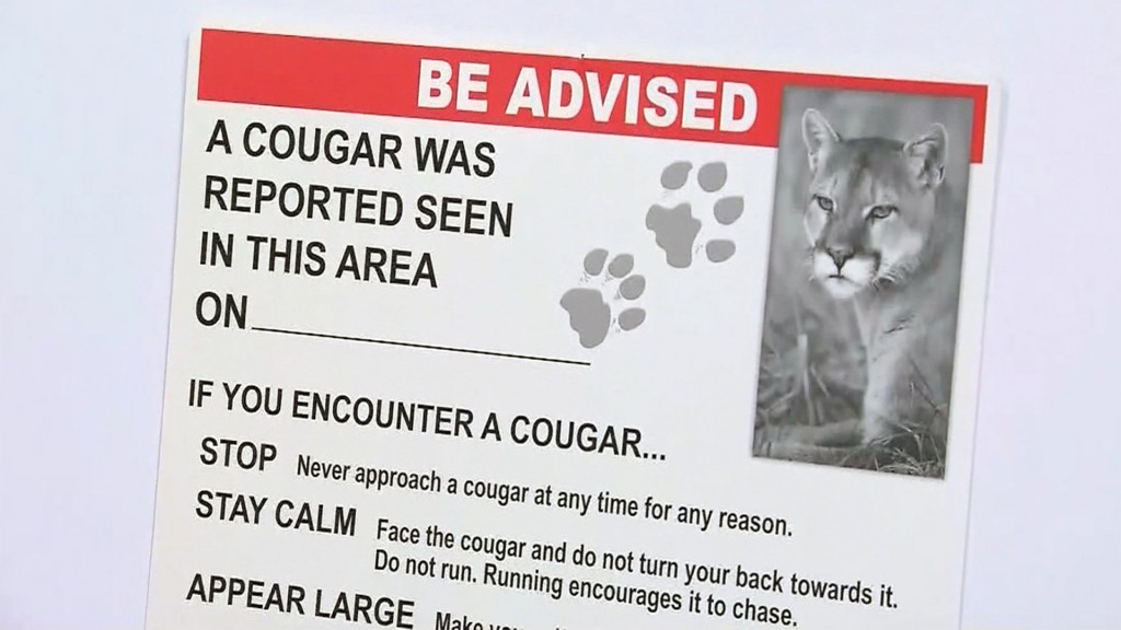 Cougar blamed for fatal attack on woman in Oregon park