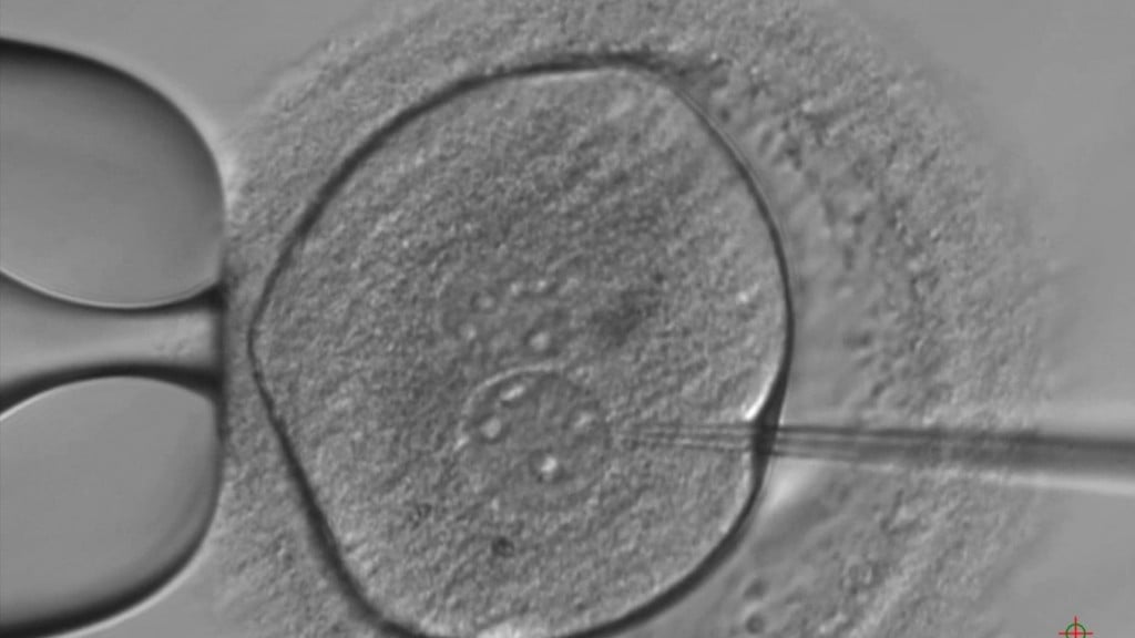 China: World’s first gene-edited babies were illegal