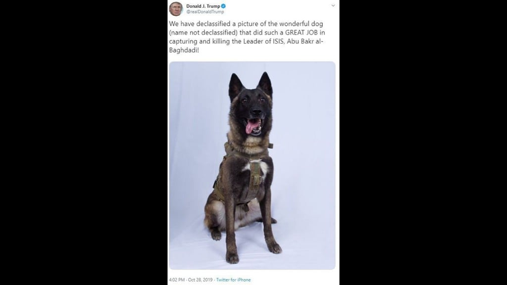 Trump shares image of hero dog injured in Baghdadi raid