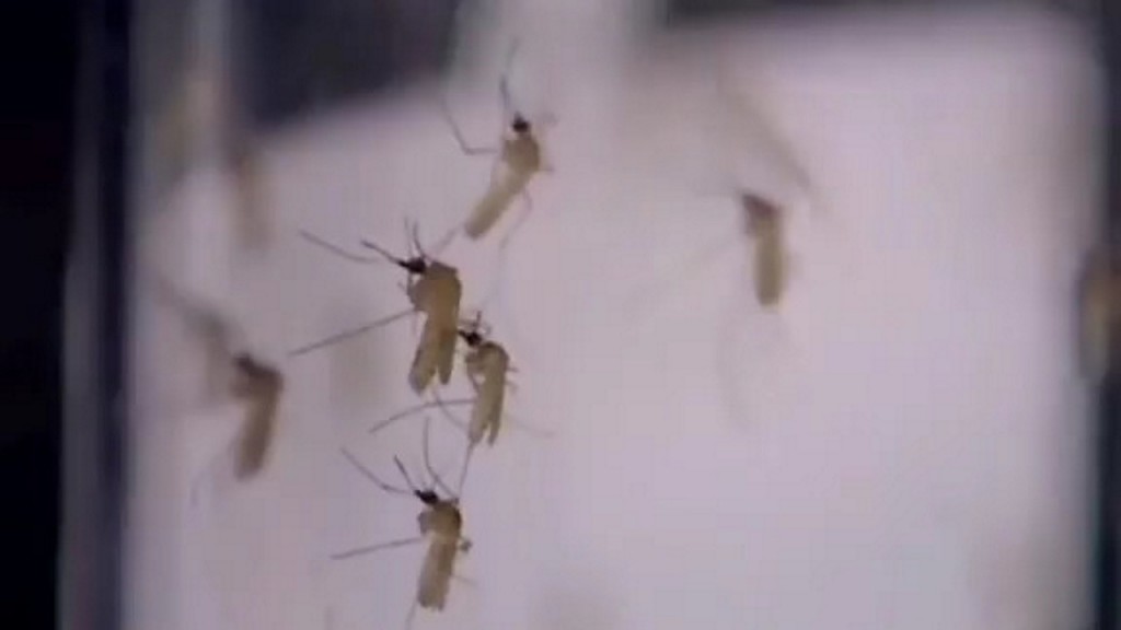 Rare mosquito-borne illness has killed at least 8 in US