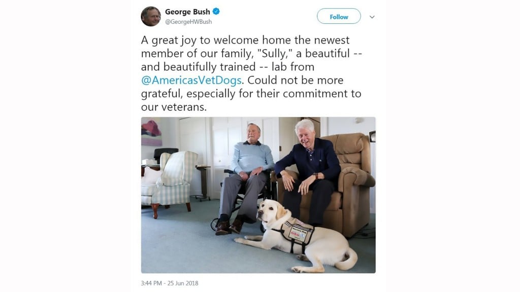 George H.W. Bush enlists help of new service dog Sully