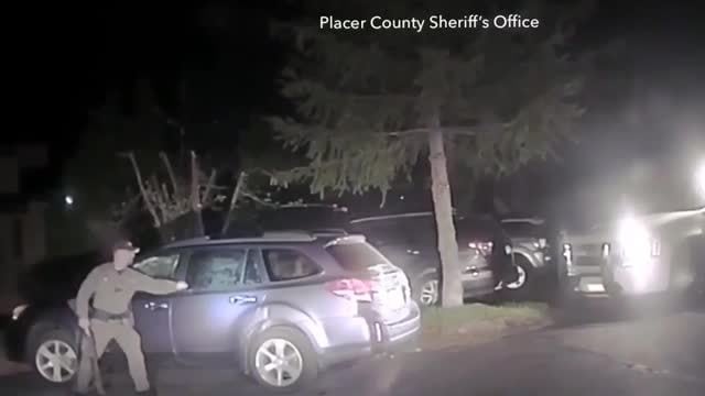 Deputy frees trapped bear from car