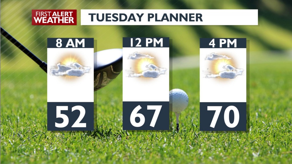 Tuesday Day Planner