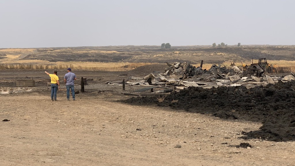 Cattle Ranch Burned In Whitney Fire