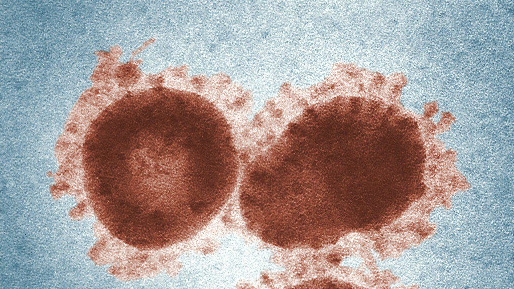 1 Coronavirus