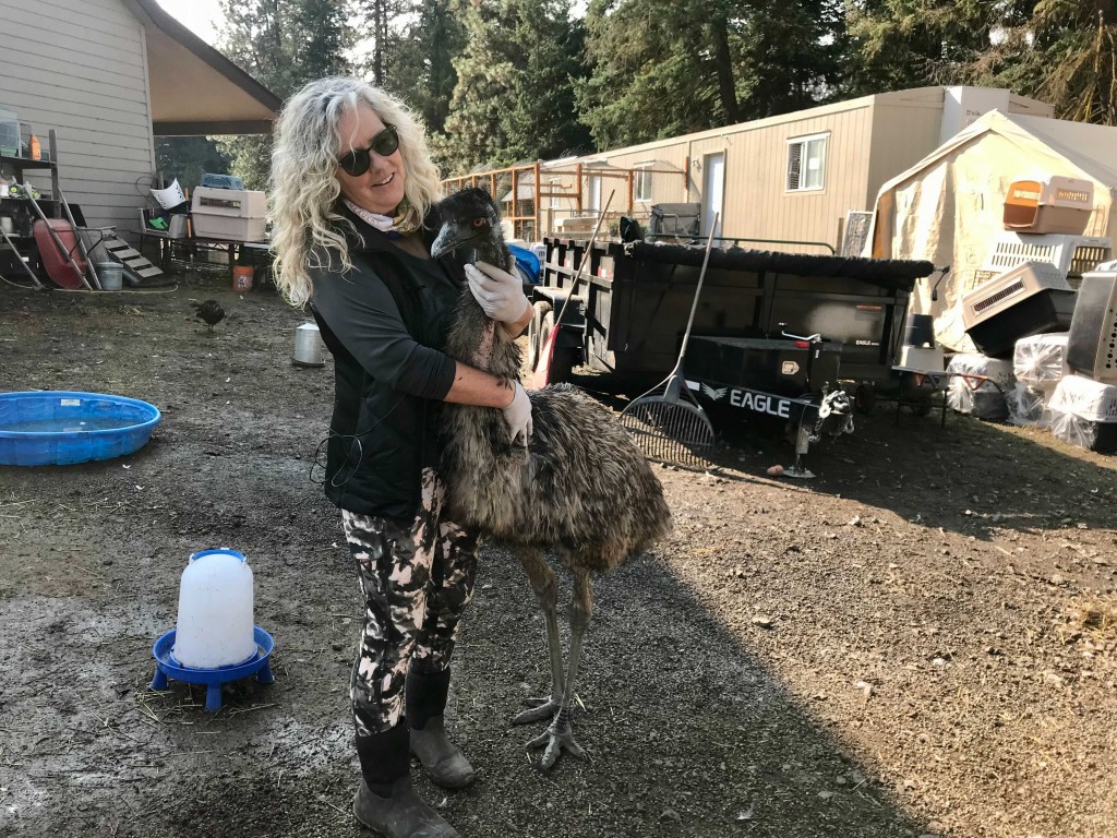 Higher Ground Animal Shelter Emu And Shelter Director