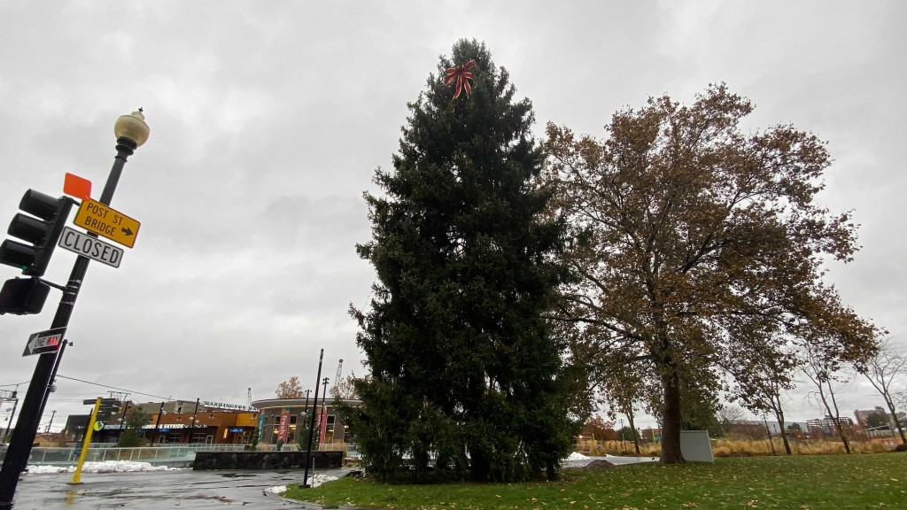 Riverfront Park Christmas Tree