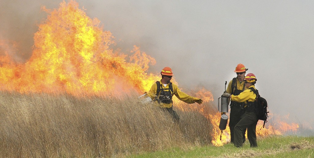 Amid Clamor To Increase Prescribed Burns, Obstacles Await