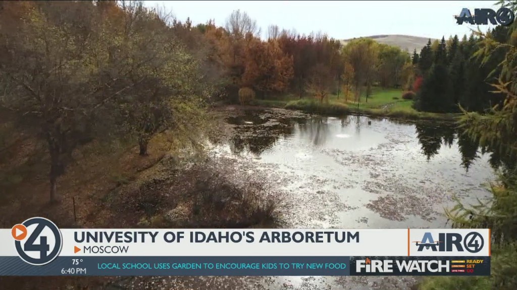 Air 4 Adventure: University Of Idaho's Arboretum