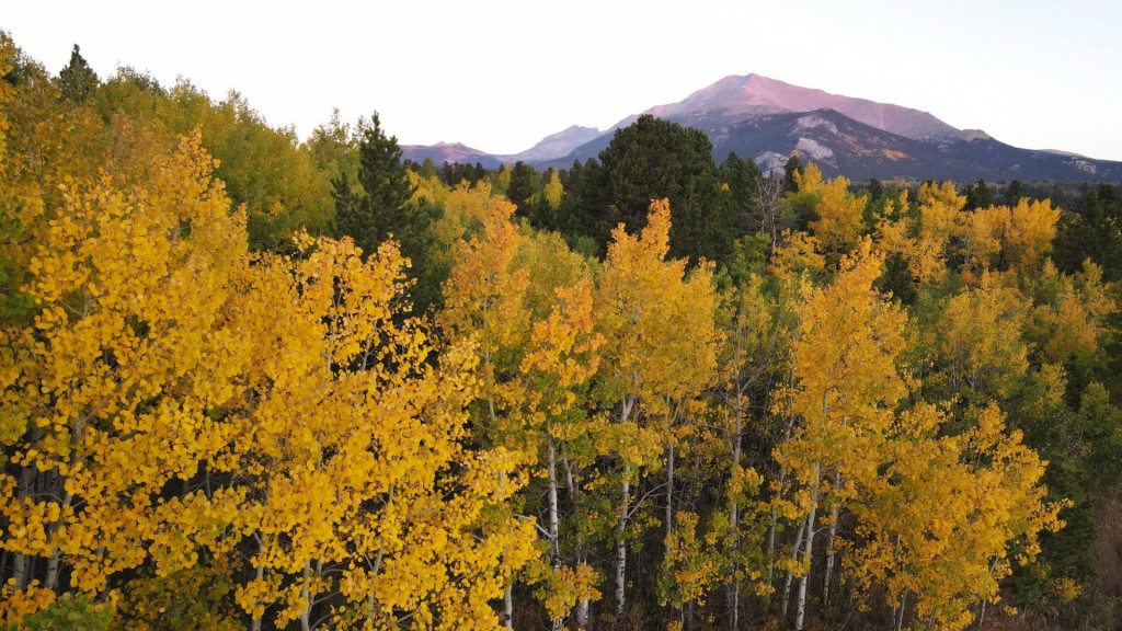 Why Climate Change Is Making It Harder To Chase Fall Foliage
