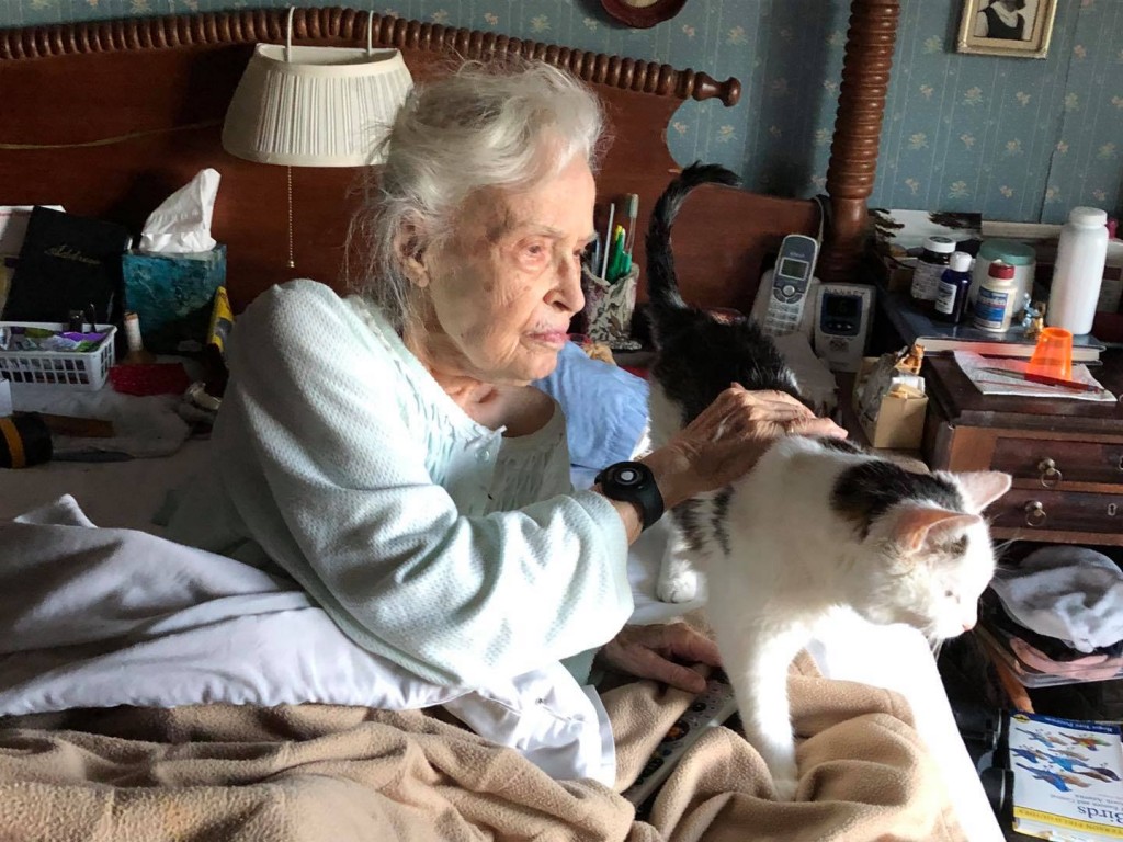 Elderly Cat Adopted