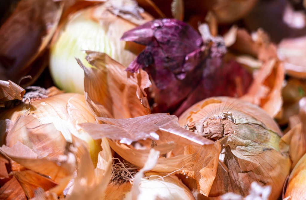 If You Don’t Know Where Your Onions Came From, Throw Them Away To Prevent Salmonella, Cdc Says