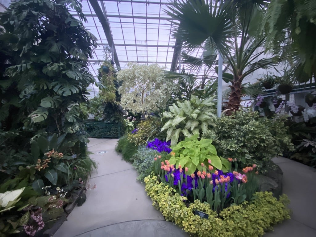Manito Park's Gaiser Conservatory