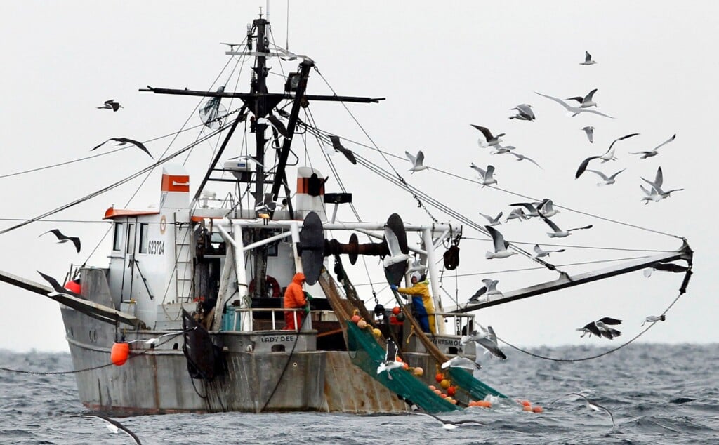 Feds Try To Improve Fishing Data With New Monitoring Rules