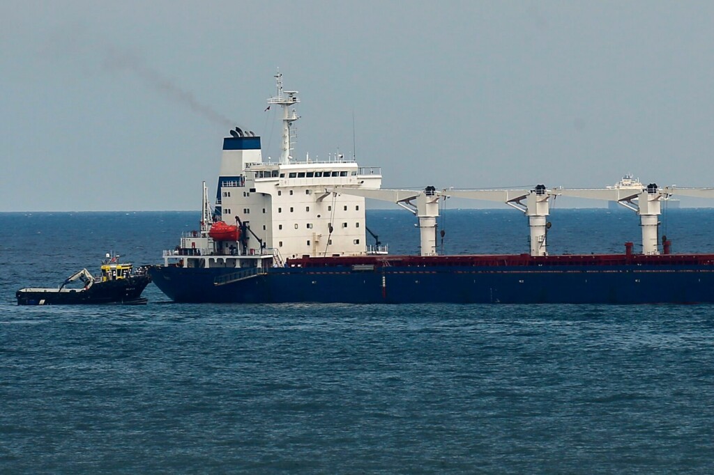 Inspections Of Ukrainian Grain Ships Halved Since October