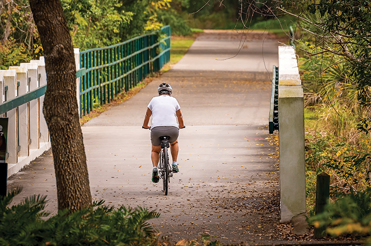 Lake Minneola Scenic Trail