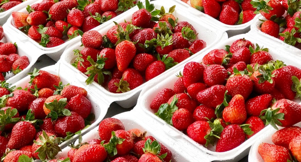 Strawberries In Packaging Containers 2629173