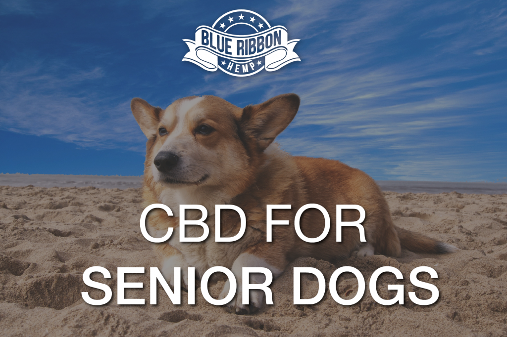 01 Monday Image Brh Blue Ribbon Hemp