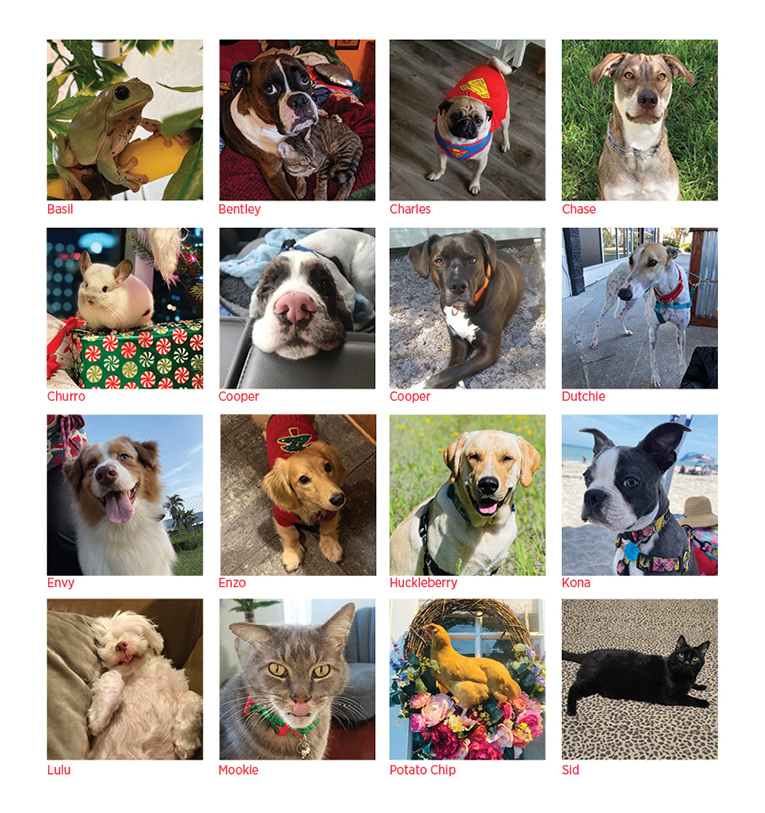 The Orlando Best Pet Contest Winner Is Orlando Magazine