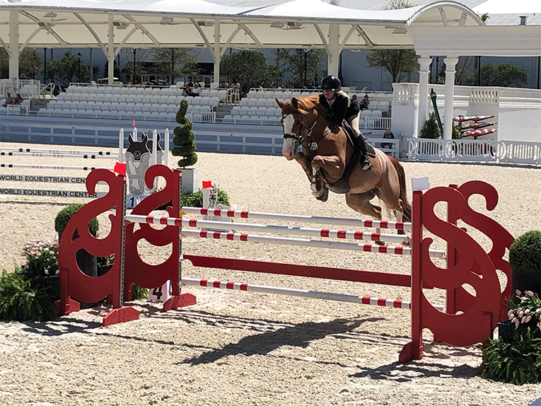 Travel to Horse Country USA In Ocala Orlando Magazine