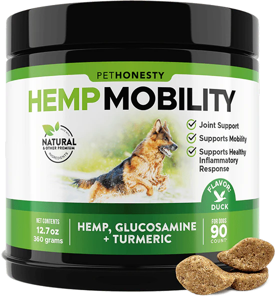 20 Best Arthritis Supplements for dogs Orlando Magazine