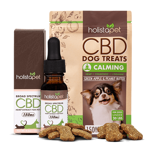 20 Best Arthritis Supplements for dogs Orlando Magazine