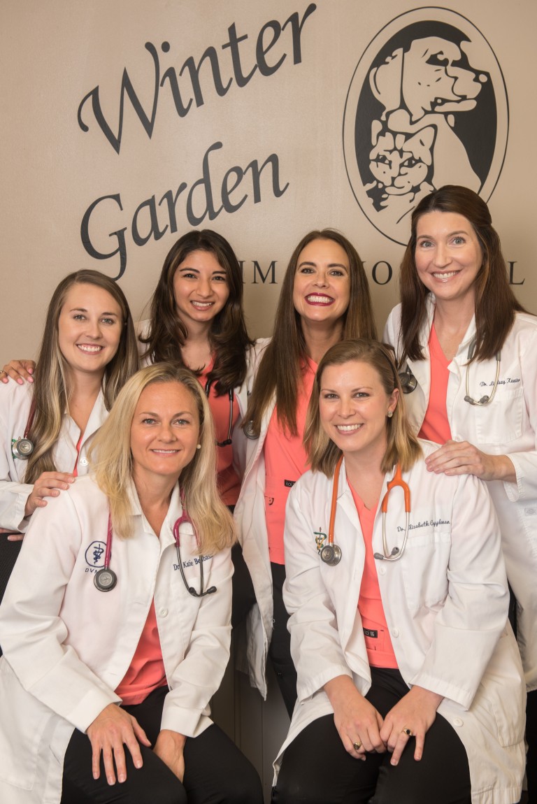 Premier Veterinarian Spotlight Winter Garden Animal Hospital Orlando