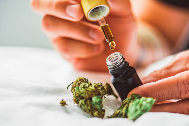 Best Cbd Oil Canada Header