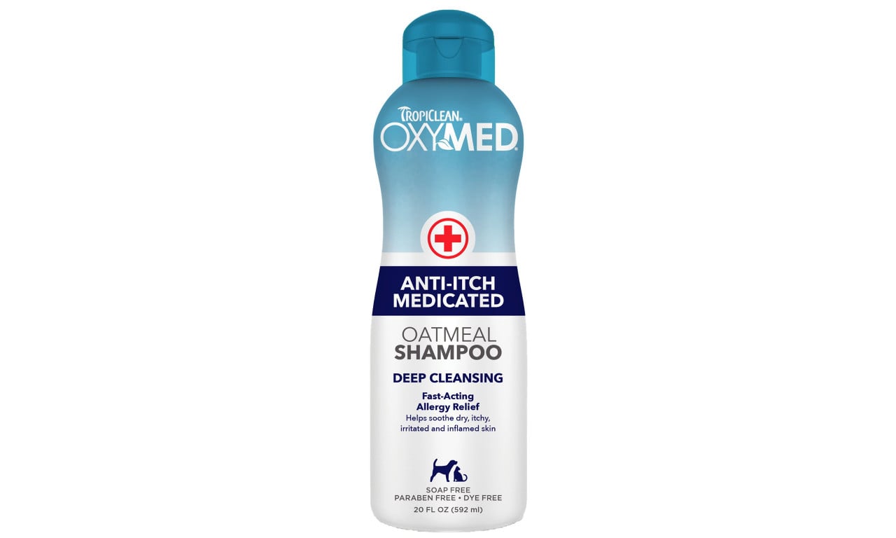 10 Best Medicated Dog Shampoos for Skin Allergies Orlando Magazine