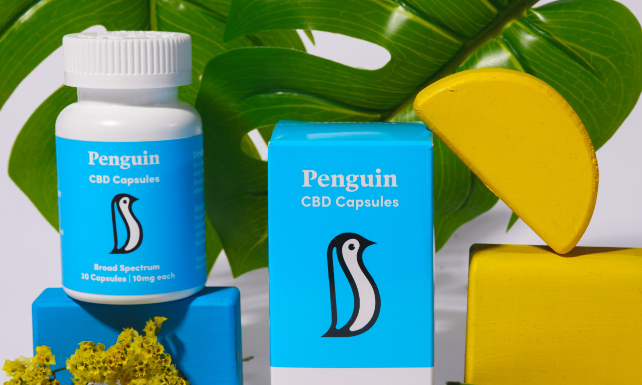 25 Best Protein Powders for Weight Gain Orlando Magazine